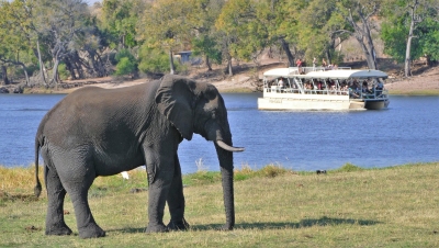 Meilleur moment pour voyager Botswana